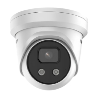 IP Cameras